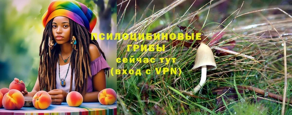 бутират Арсеньев