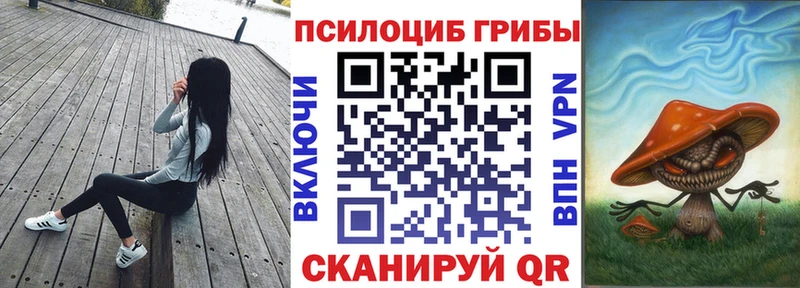 сколько стоит  Гагарин  Псилоцибиновые грибы Psilocybine cubensis 